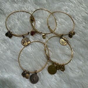 Alex and Ani Gold Charm Bracelet Collection
